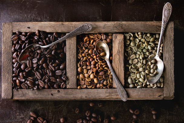 Variation of coffee beans - Foto, imagen