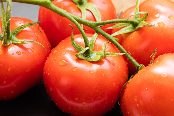 branch of organic tomatoes close-up  - Fotó, kép
