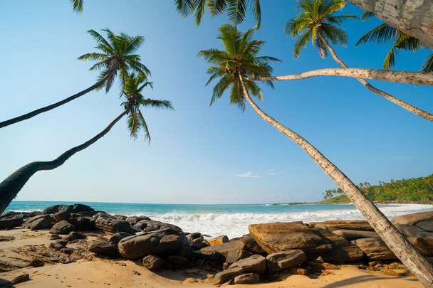 Tropikalna plaża - Zdjęcie, obraz
