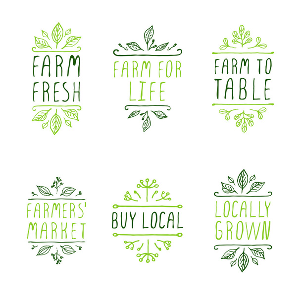 Hand-sketched typographic elements. Farm product labels. - Vector, Image