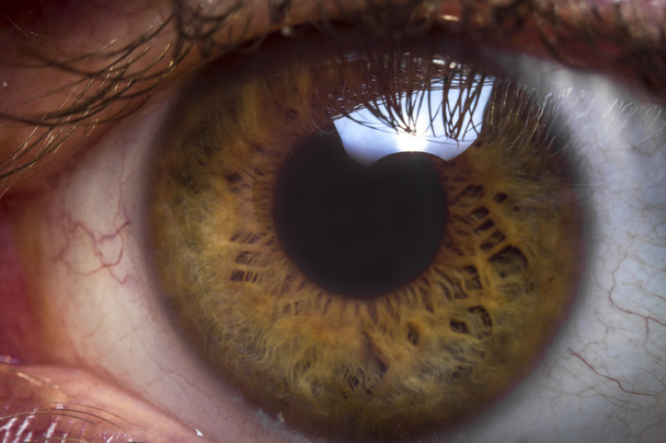 Глазной Макро крупным планом
 - Фото, изображение