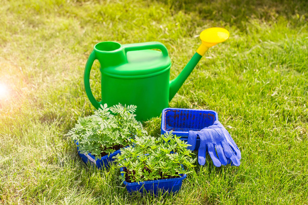 Bahçecilik aletleri ve fide kutularında yeşil çimenlerin üzerinde - Fotoğraf, Görsel