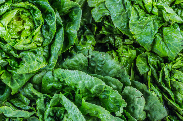 Fresh green lettuce leaves - Photo, Image