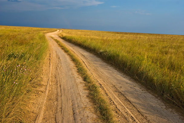 Road in a steppe - Foto, afbeelding
