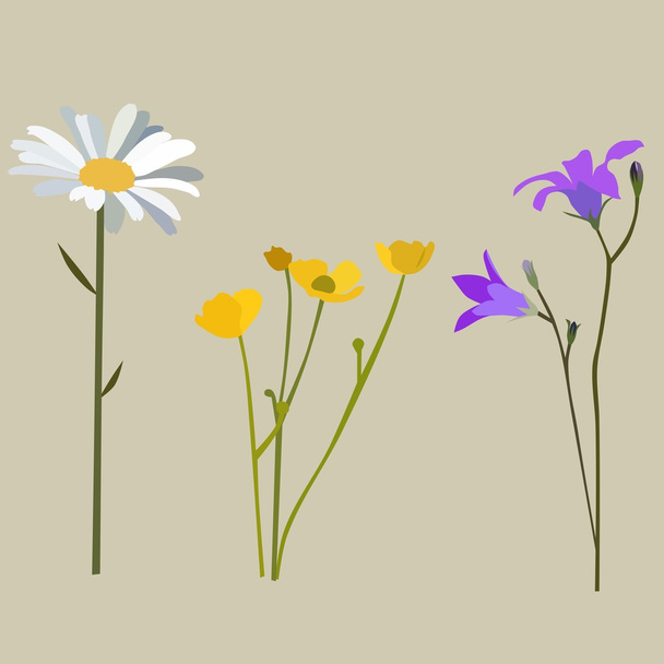 Квіти в літо
 - Вектор, зображення