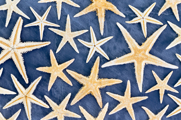 Full frame background of dried starfish - Foto, Imagen