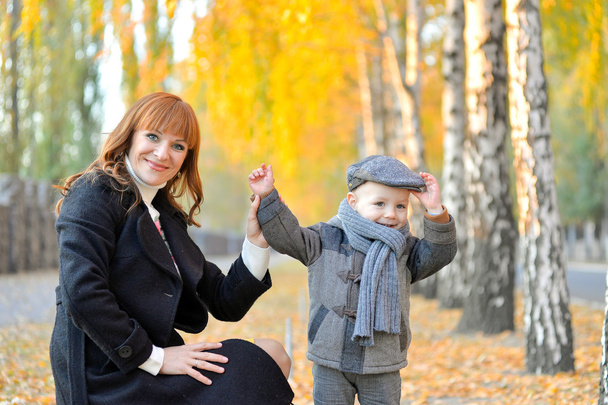 Matka s dítětem v parku na podzim. - Fotografie, Obrázek