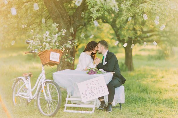 Romantic picknick under tree in park. Happy bride and lovely groom kissing. Decorated bicycle stands near - Photo, image