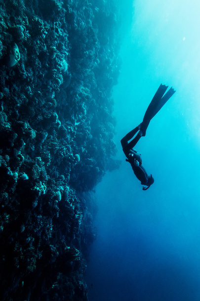 Freediver kąpiel w morzu - Zdjęcie, obraz