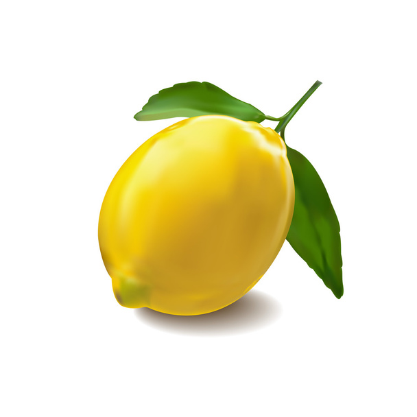 Sitruuna valkoisella pohjalla
 - Vektori, kuva