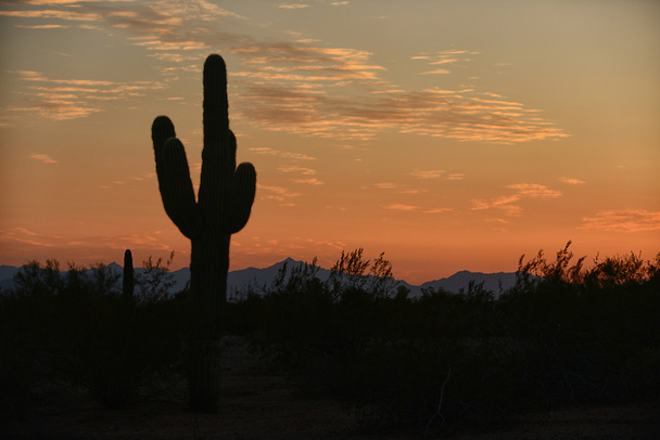Sonnenuntergang im Südwesten Arizonas - Foto, Bild