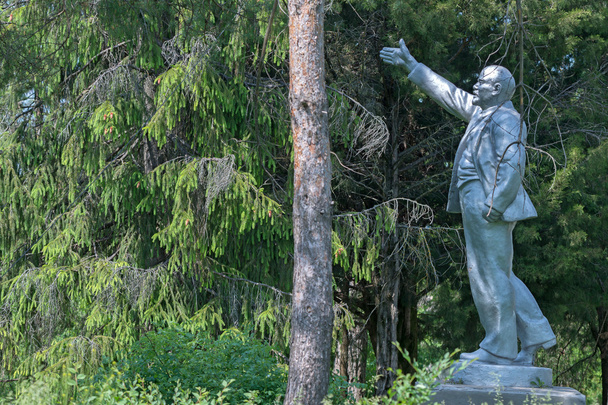 Monument to  Vladimir Lenin - Photo, Image