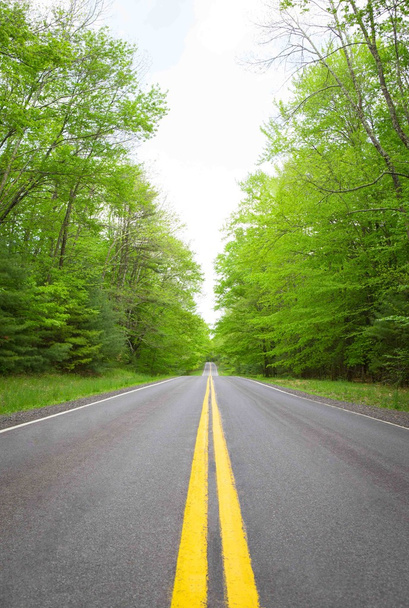 Горная дорога в зеленом лесу
 - Фото, изображение