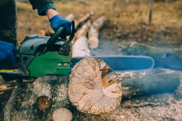 male hands cutting trunk with chainsaw - Zdjęcie, obraz