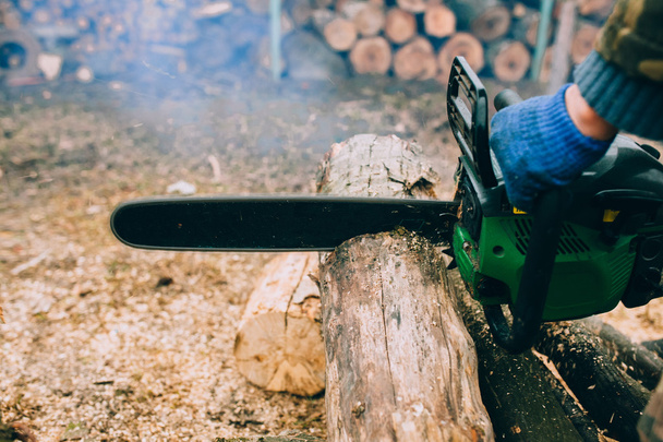 male hands cutting trunk with chainsaw - Photo, Image