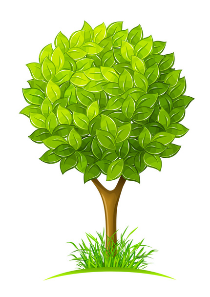 Tree with green leaves - Вектор,изображение