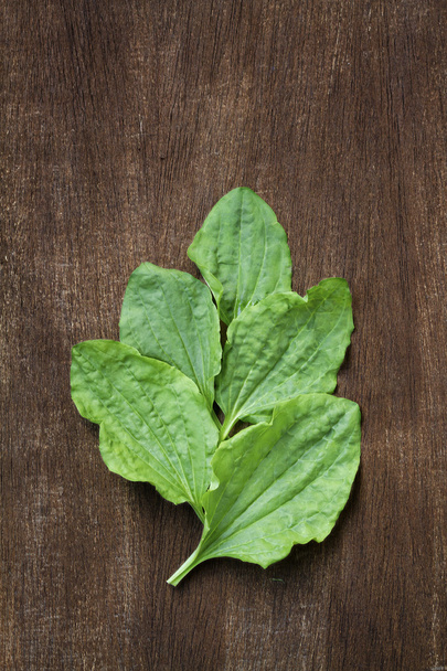Plantain leaves on a wooden background. - Фото, изображение