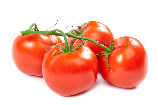 Branch tomatoes on white background. - 写真・画像