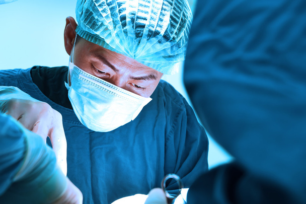 ветеринарная хирургия в операционной
 - Фото, изображение