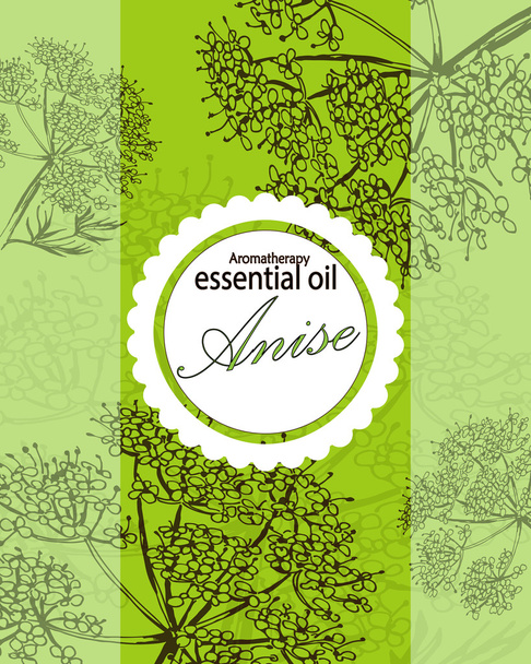 label for essential oil of anise - Vetor, Imagem