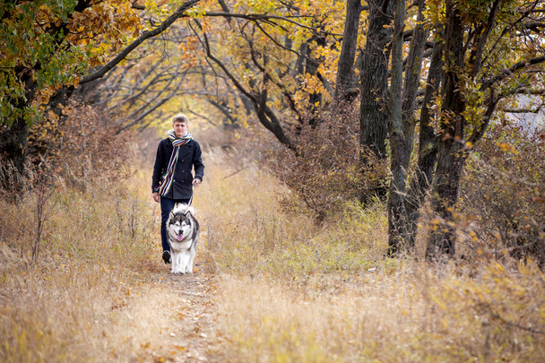 Man walking  with dog - Fotoğraf, Görsel