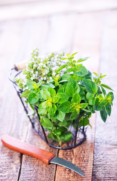 fresh herbal in metal basket - Photo, Image