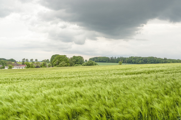 paysage printanier rural orageux
 - Photo, image