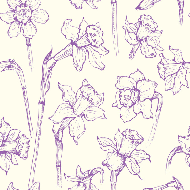 Daffodils narcissus floral contour pattern - Vecteur, image