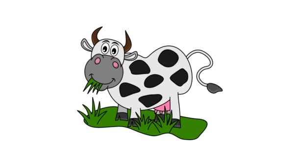 krowy jedzą trawę na łące - Materiał filmowy, wideo