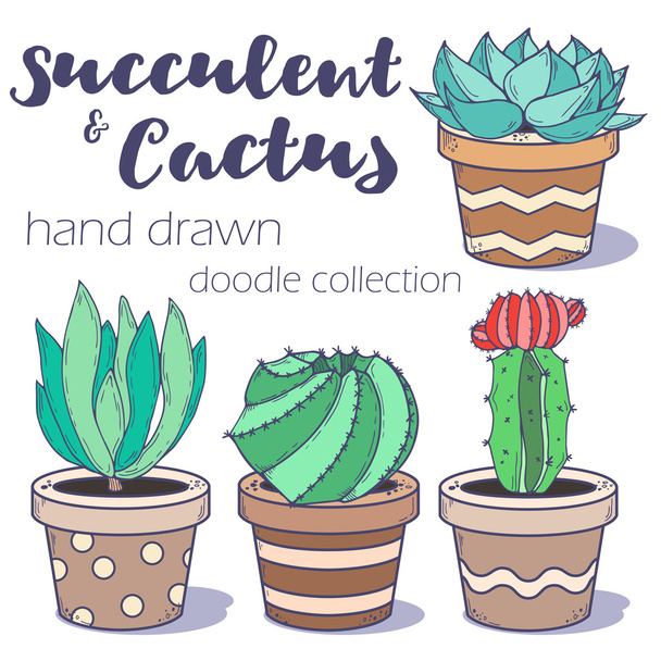 Cactus and succulent set - Вектор,изображение