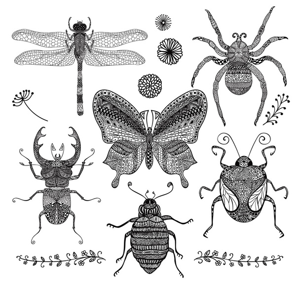Vector Collection of Black Hand Drawn Doodle Insects - Vecteur, image