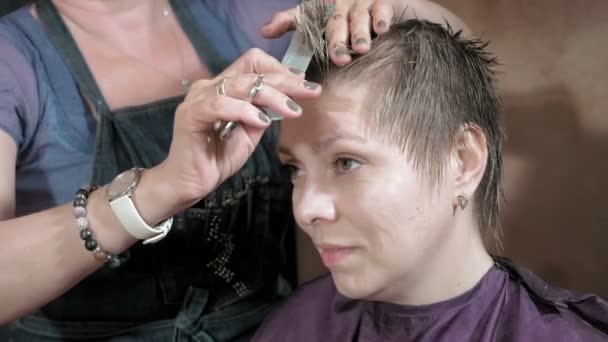 Hairdresser cuts combs and styles womans hair - Footage, Video