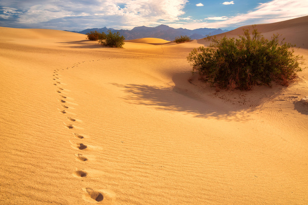Πατημασιές στην άμμο στους αμμόλοφους, κοιλάδα του θανάτου, Καλιφόρνια - Φωτογραφία, εικόνα