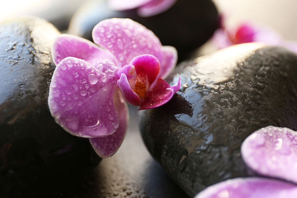 Spa stones and orchids  - Φωτογραφία, εικόνα