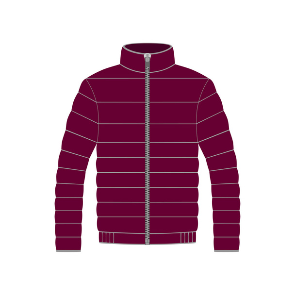 jacket in vector on white background - Vector, Image