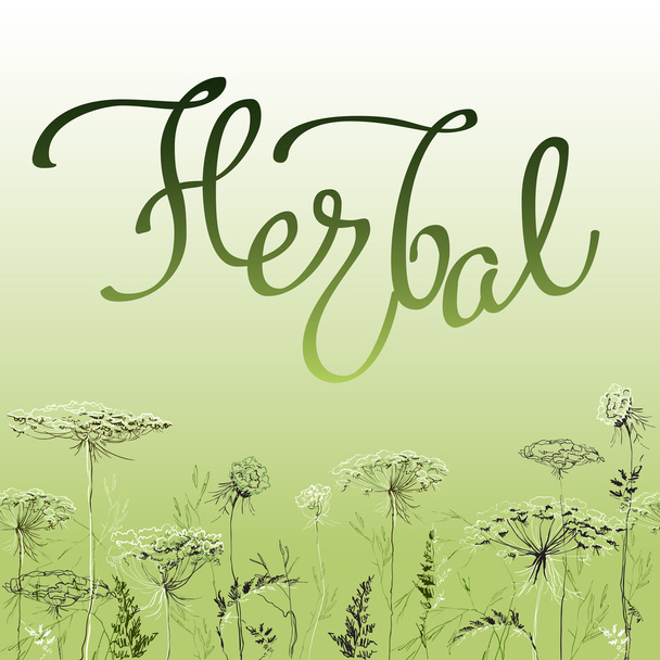 Calligraphy sign herbal 1 - Vector, Image