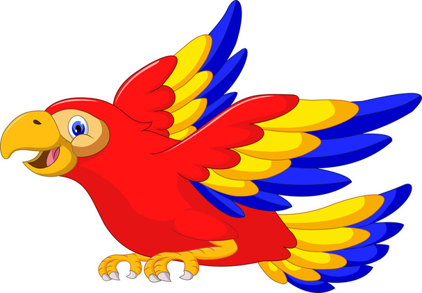 macaw uccello cartoni animati volare
 - Vettoriali, immagini