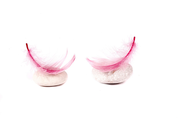 rock and pink feather on white background - Photo, Image