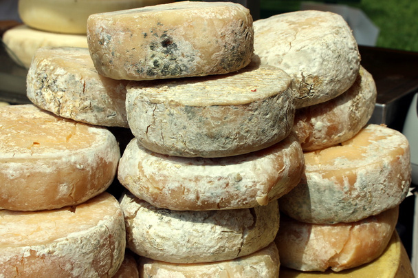 olgunlaştı ve lezzetli peynir - Fotoğraf, Görsel