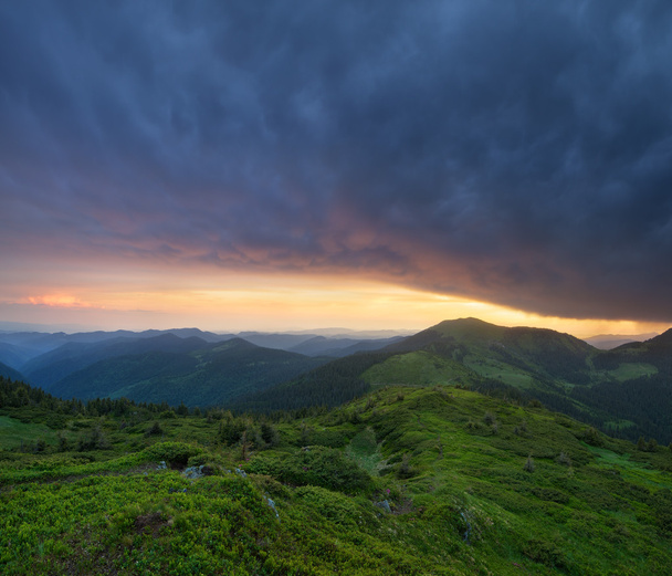 Morgenlandschaft in den Bergen im Sommer - Foto, Bild