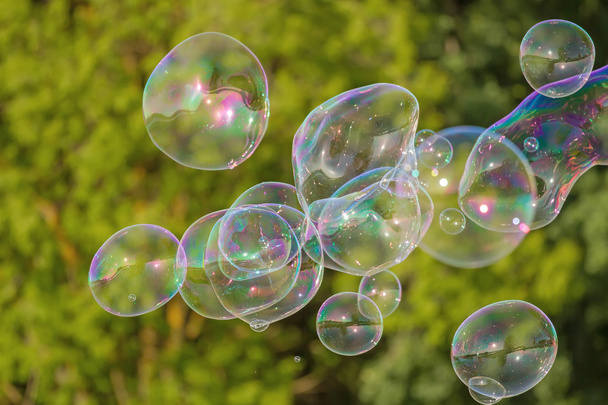 Soap bubbles in nature - Photo, Image
