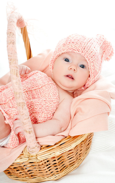 baby girl in the basket - 写真・画像