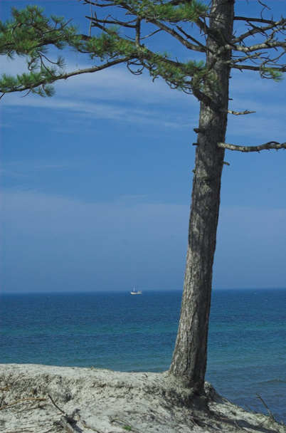 krajobraz niebieski Morza Bałtyckiego tapeta postcart wody - Zdjęcie, obraz
