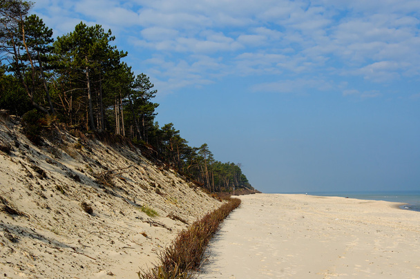 azul paisaje Mar Báltico fondo de pantalla postcart agua
 - Foto, Imagen