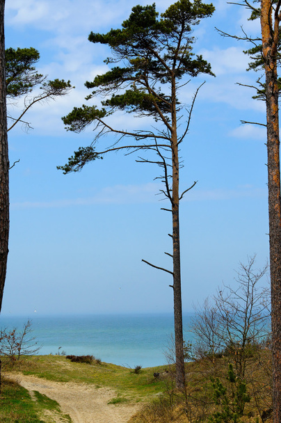 καταγάλανο τοπίο της Βαλτικής Θάλασσας ταπετσαρία postcart νερό - Φωτογραφία, εικόνα