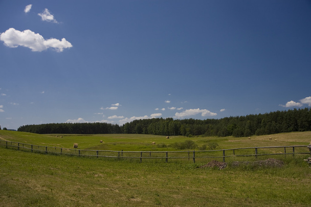 ポーランドの風景聖霊降臨祭の青い空と緑丘 - 写真・画像