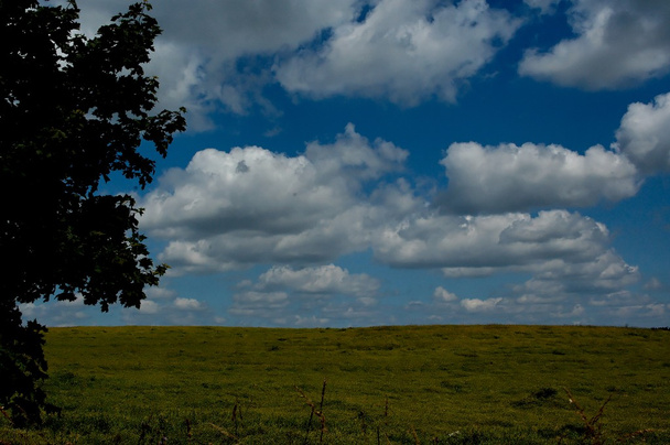 paisaje con cielo azul y colina verde en Polonia
 - Foto, imagen