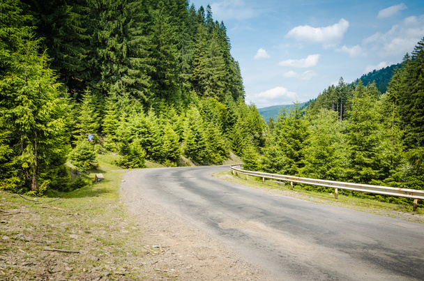 on the road in the green mountains - Foto, Imagen