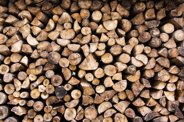 Fondo de troncos de madera, anillos de año
 - Foto, Imagen