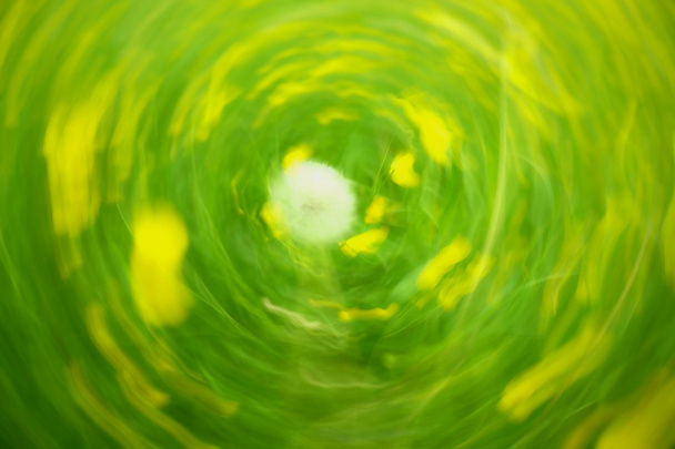 Flores desenfocadas y hierba en el fondo del círculo. Flor amarilla borrosa y desenfocada y hierba verde
  - Foto, Imagen